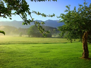 Großer Ostgarten mit Apfelbäumen