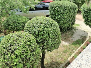 Parque de vacaciones Privlaka Grabación al aire libre 3