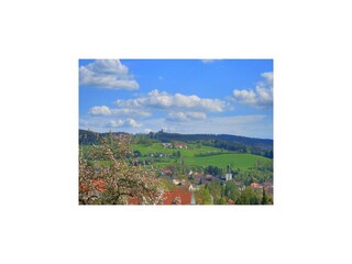 Vakantiehuis Regen Buitenaudio-opname 8