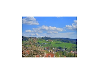 Vakantiehuis Regen Buitenaudio-opname 4