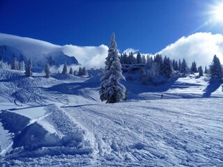 Chalet Les Houches Environnement 27