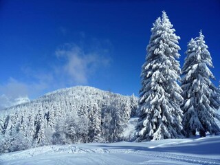 Chalet Les Houches Umgebung 21