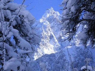 Chalet Les Houches Environnement 30