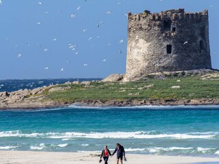Parque de vacaciones Stintino  30
