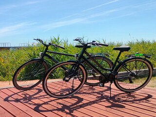 Roulotte Podamirowo Environnement 10