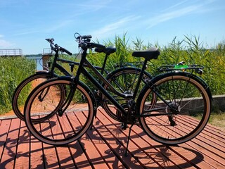 Ferienhaus Podamirowo Umgebung 16