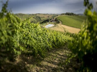 Appartement Acquaviva Picena Environnement 37