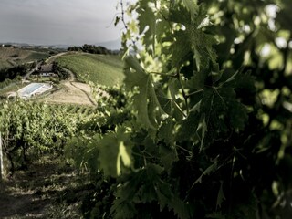 Appartamento Acquaviva Picena Ambiente 30