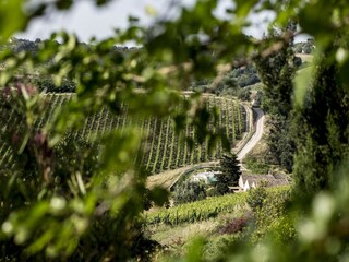 Appartamento Acquaviva Picena Ambiente 36