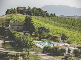 Appartement Acquaviva Picena Environnement 35