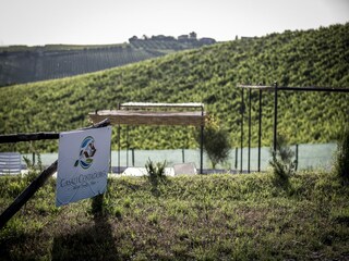 Appartement Acquaviva Picena Omgeving 29