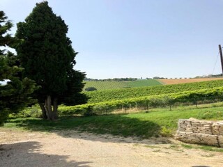 Appartamento Acquaviva Picena Ambiente 33