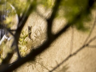 Appartement Acquaviva Picena  34