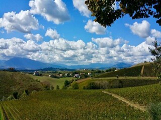 Appartamento Acquaviva Picena Ambiente 26