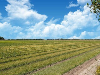 Casa per le vacanze 't Zand Ambiente 30