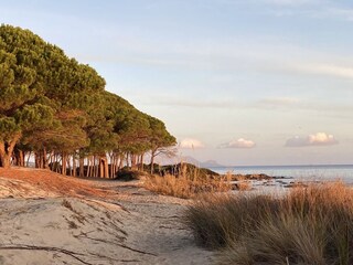 Appartamento per vacanze Budoni Ambiente 16