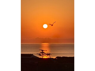 Appartamento per vacanze Budoni Ambiente 20