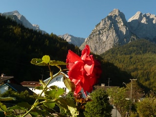 Blick vom Balkon