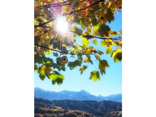 Herbstwanderung