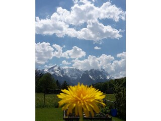 Blick auf Alpsitze und Zugspitze