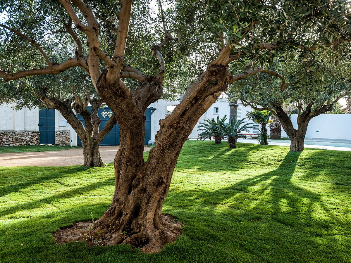 Apartment Marsala Außenaufnahme 8