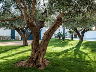 Apartment Marsala Außenaufnahme 7