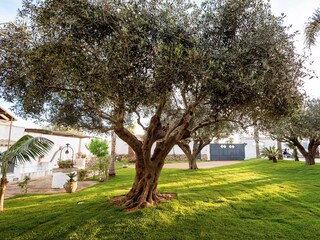 Apartment Marsala Außenaufnahme 13