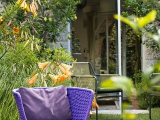 Villa Camaiore Outdoor Recording 37