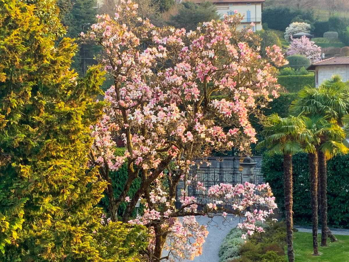 Ferienwohnung Bellagio Außenaufnahme 6