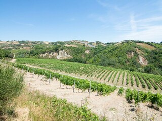 Appartement Acquaviva Picena Omgeving 34