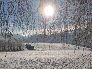 Holiday apartment Winterberg Outdoor Recording 15