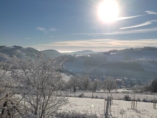 Holiday apartment Winterberg Outdoor Recording 18