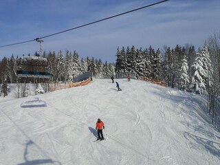 Holiday apartment Winterberg Environment 31