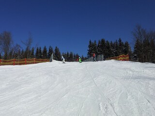 Holiday apartment Winterberg Environment 33