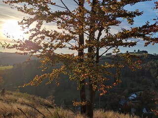 Holiday apartment Winterberg Environment 34