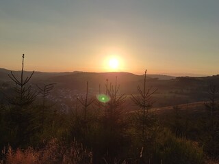 Holiday apartment Winterberg Environment 36