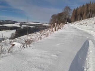 Holiday apartment Winterberg Environment 37