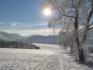 Holiday apartment Winterberg Environment 38