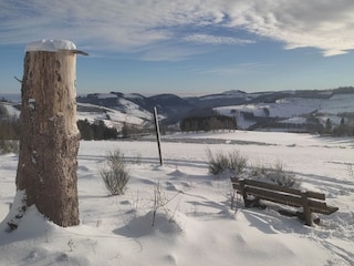 Holiday apartment Winterberg Environment 40