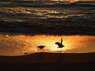 Holiday park Saint-Jean-de-Luz Environment 27