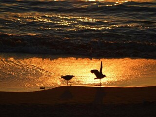 Parc de vacances Saint-Jean-de-Luz Environnement 28