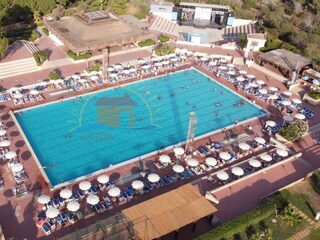 Olympic swimming pool