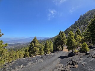 Casa per le vacanze Tazacorte Ambiente 35