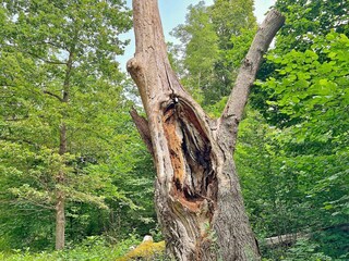 Vakantiehuis Åkersberga  16