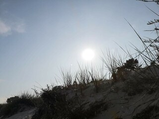 Ferienhaus Höllviken  33