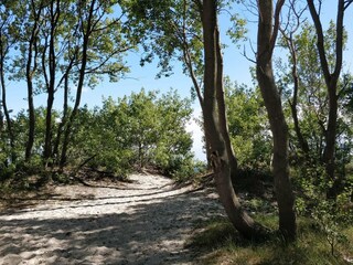 Holiday house Höllviken  16