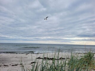 Ferienhaus Höllviken  25
