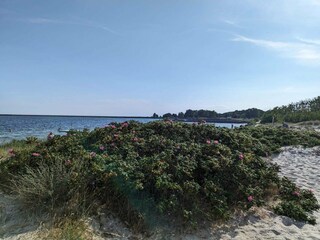 Vakantiehuis Höllviken  28