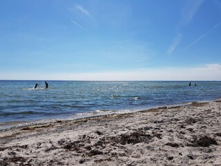 Ferienhaus Höllviken  30