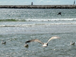 Vakantiehuis Höllviken  8